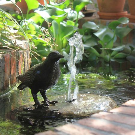 Himmelblau Boutique Bed And Breakfast Cape Town Luaran gambar