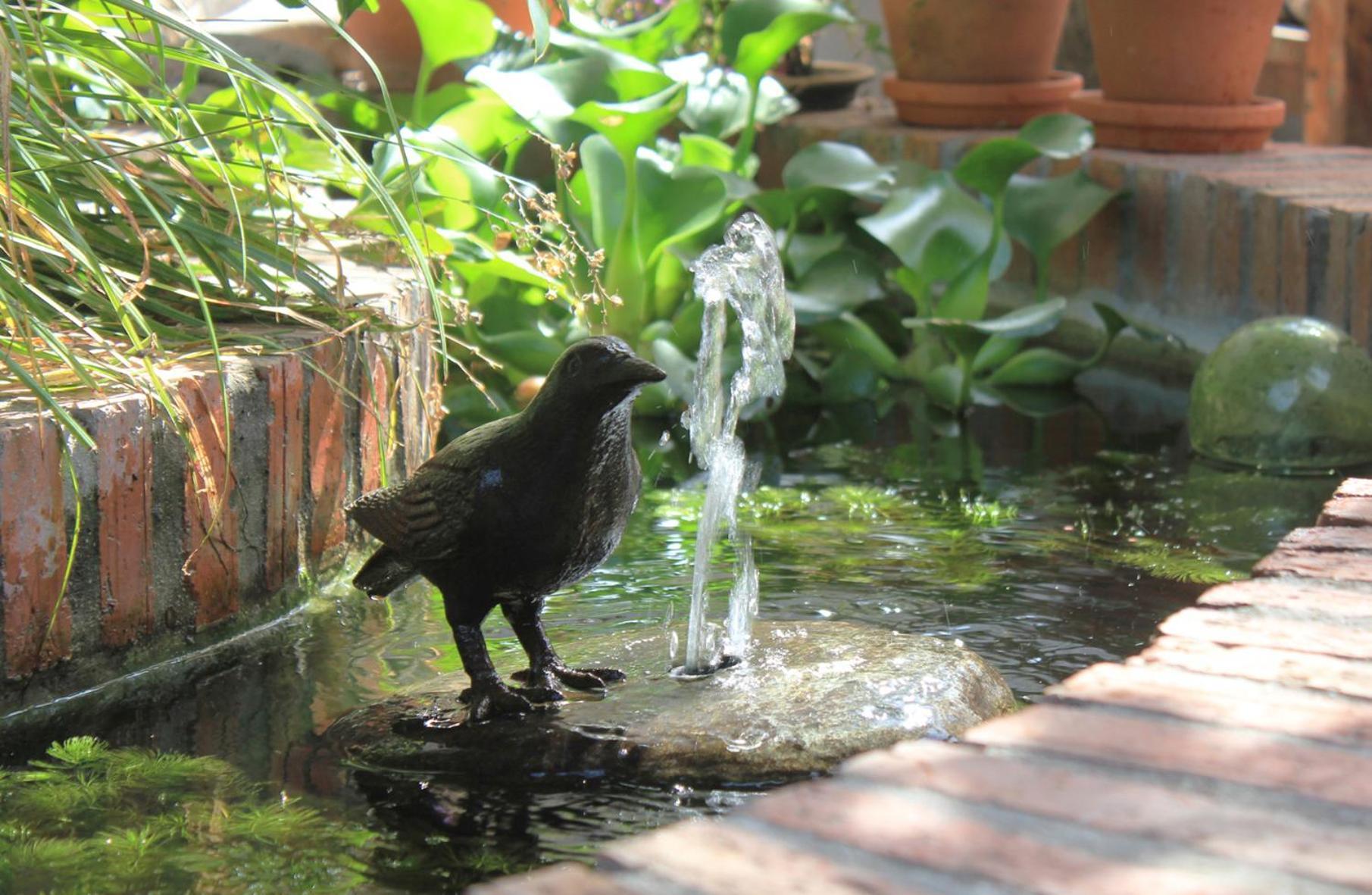 Himmelblau Boutique Bed And Breakfast Cape Town Luaran gambar